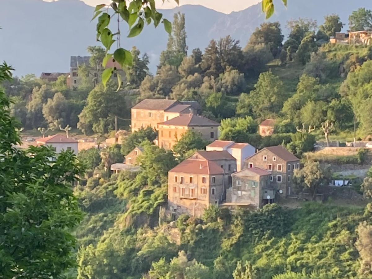 Appartamento Casa Lili Castello-di-Rostino Esterno foto